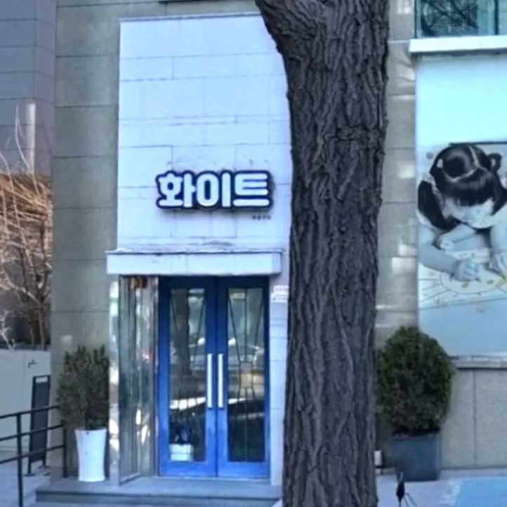 화이트